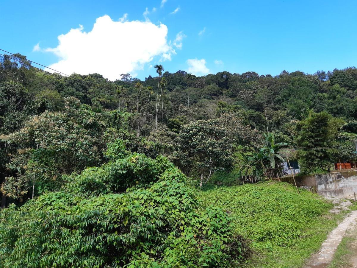 Mountain View Holiday Home กัลปัตตา ภายนอก รูปภาพ