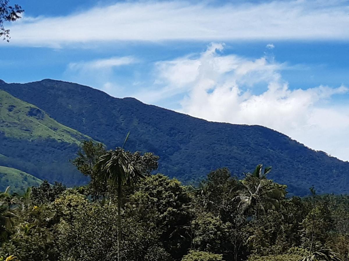 Mountain View Holiday Home กัลปัตตา ภายนอก รูปภาพ